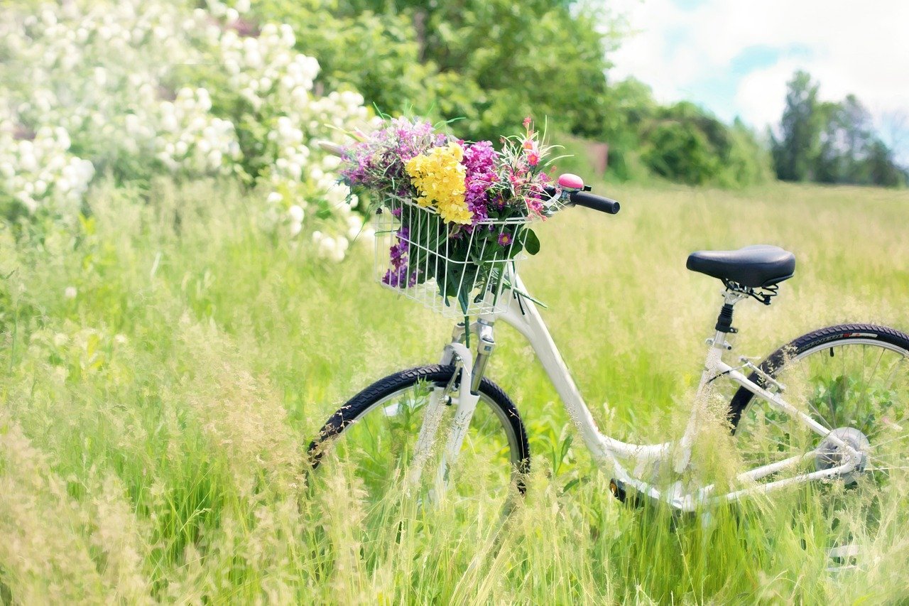 3x leuke fietsvakanties in Nederland